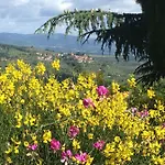Il Ghiro Πανσιόν Montevarchi