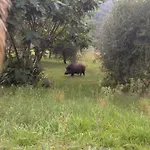 Il Ghiro Vendégház Montevarchi