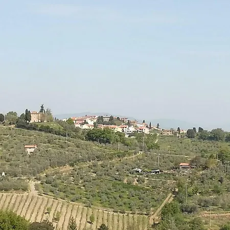 Il Ghiro