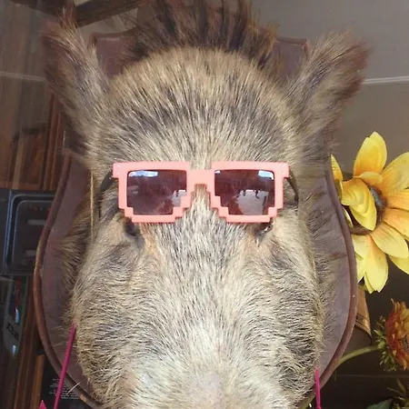 Гостевой дом Il Ghiro