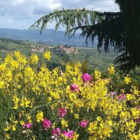 Il Ghiro Guest house Montevarchi