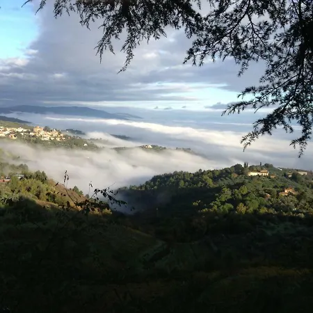 Il Ghiro * Montevarchi