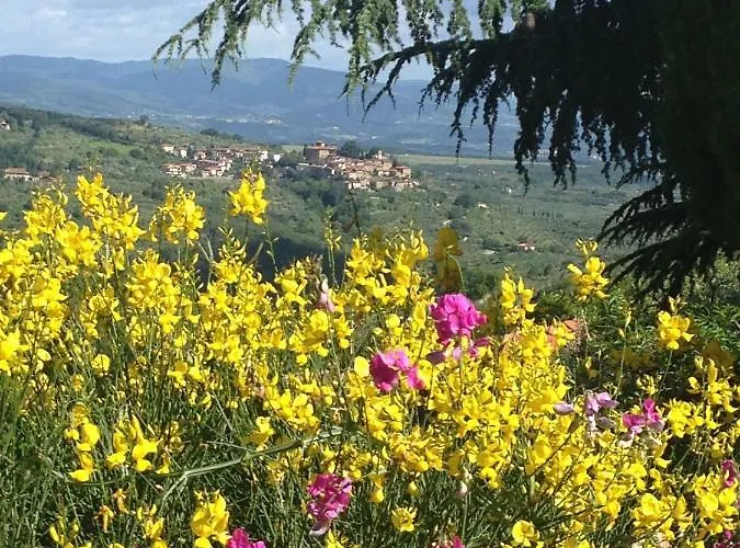 Il Ghiro Πανσιόν Montevarchi