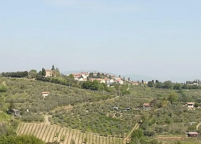 Il Ghiro